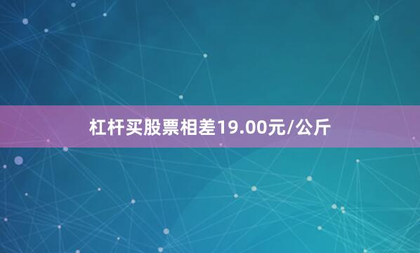 杠杆买股票相差19.00元/公斤