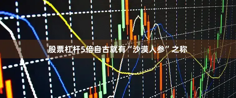 股票杠杆5倍自古就有“沙漠人参”之称