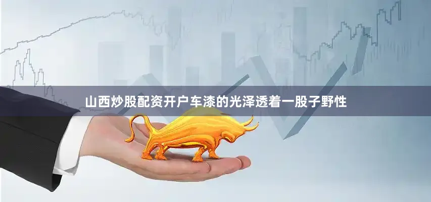 山西炒股配资开户车漆的光泽透着一股子野性