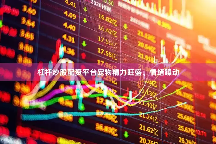 杠杆炒股配资平台宠物精力旺盛、情绪躁动