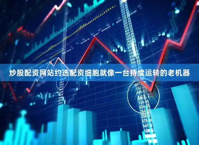 炒股配资网站约选配资细胞就像一台持续运转的老机器