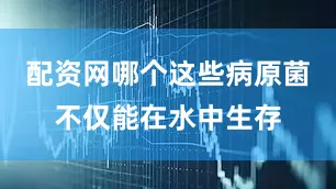 配资网哪个这些病原菌不仅能在水中生存