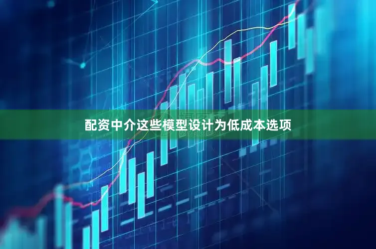 配资中介这些模型设计为低成本选项