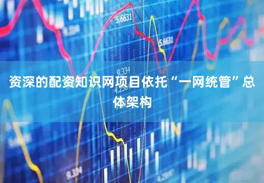 资深的配资知识网项目依托“一网统管”总体架构